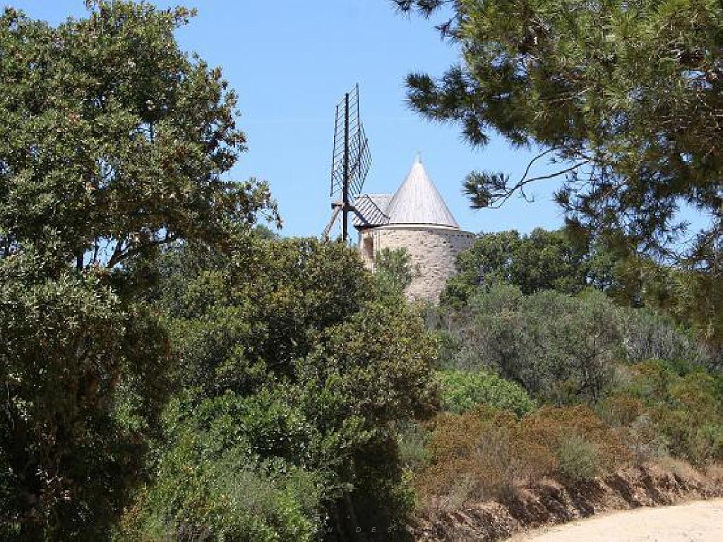 183 ILE DE PORQUEROLLES -2_000039.jpg